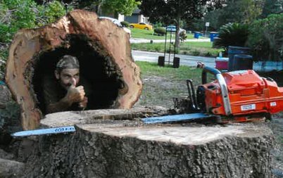 Tree trimming chainsaw
